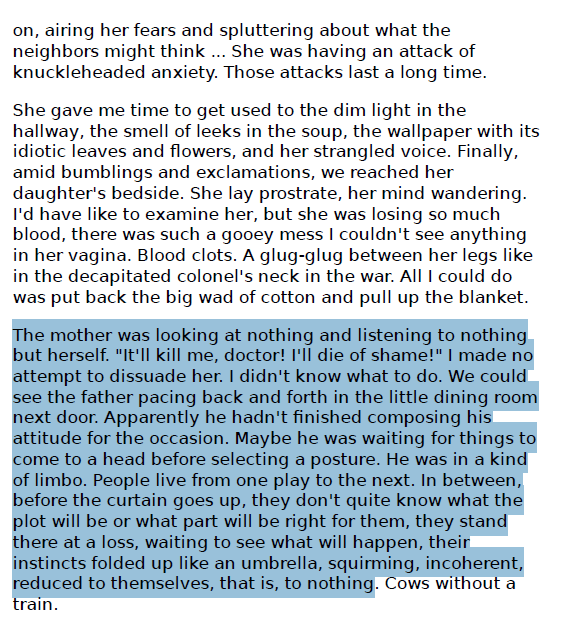 0rginator's tweet photo. Favourite passage from Journey to the End of the Night, Celine. Very funny man, just zero fluff. https://t.co/mDpWZVFh2Q