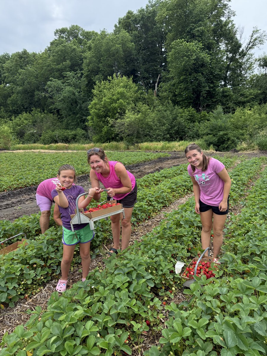 ProfeBeckstrom's tweet photo. Summer 2026 - Day 10: They should’ve weighed these pickers before they started!! https://t.co/vVsNpJnK31