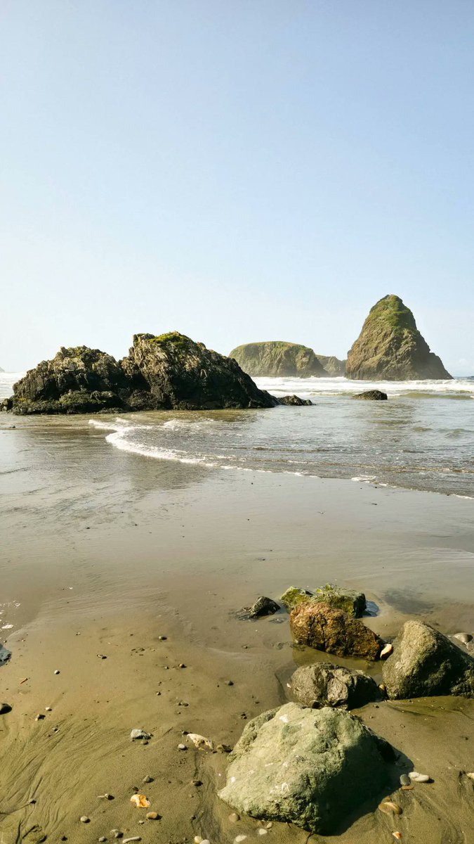 paths_waves's tweet photo. along the corridor

https://t.co/7eTCS45rQw 

#beach #ocean #photography #oregoncoast #beachlife https://t.co/lVixKtPuoA