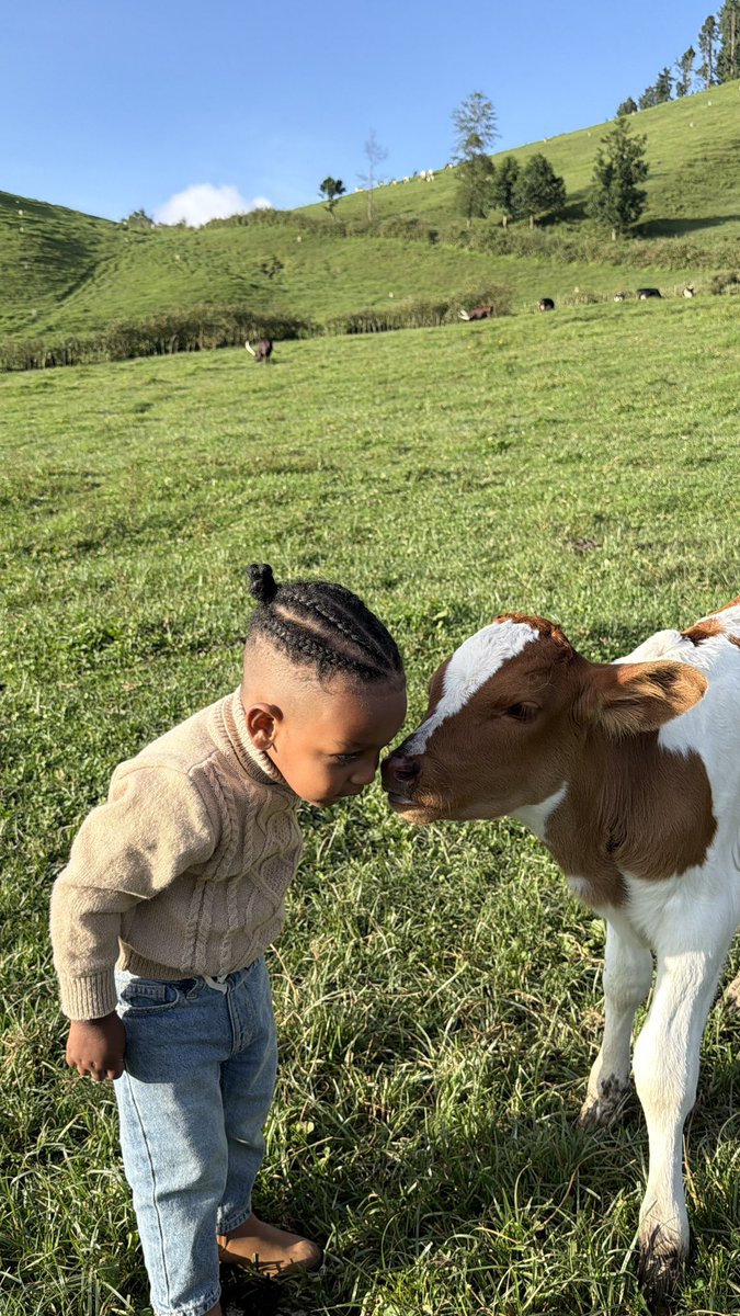 Ngabo_Karegeya's tweet photo. Cuteness 🥹❤️🥹🥹 https://t.co/CjrnQAky07