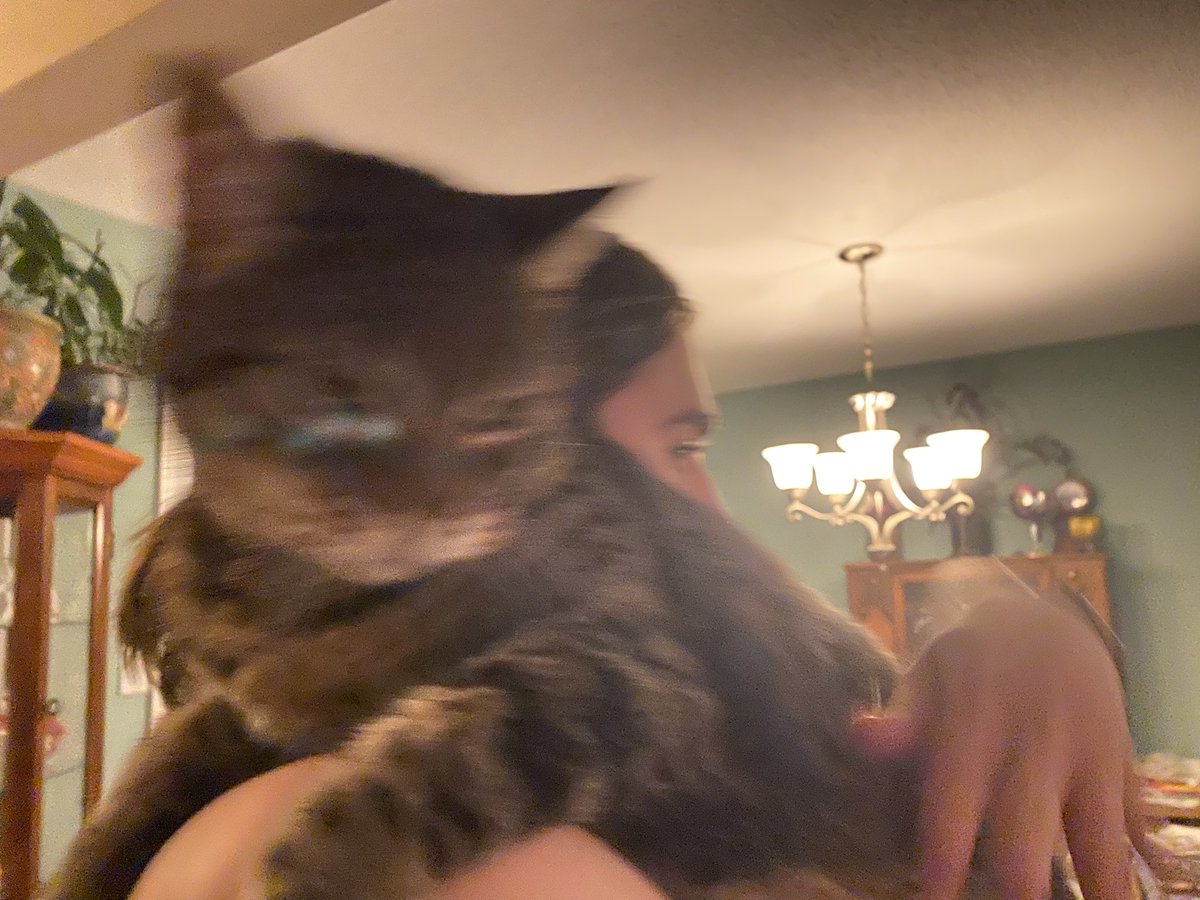 plutorangerss's tweet photo. meow meow meow im working on new music finally https://t.co/N4BQvRWGCv