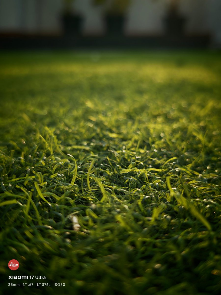 gauravh1's tweet photo. Nature's canvas!
#Xiaomi17Ultra #ShotOnXiaomi
#ShotOnSnapdragon #Leica #MobilePhotography #GoldHour #Nature https://t.co/4WegbeDZ2b