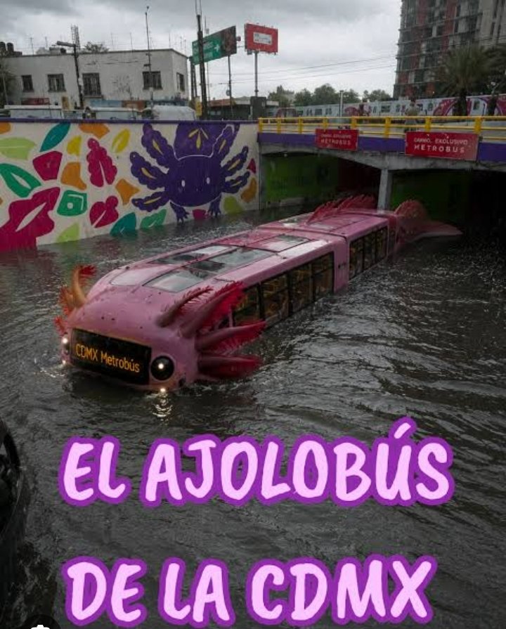 Sub_Naranjo's tweet photo. @marcatextos @GuadalajaraGob @VeroDelgadilloG Y de acá nada? Carroñeros? https://t.co/k0HyfJIUhn