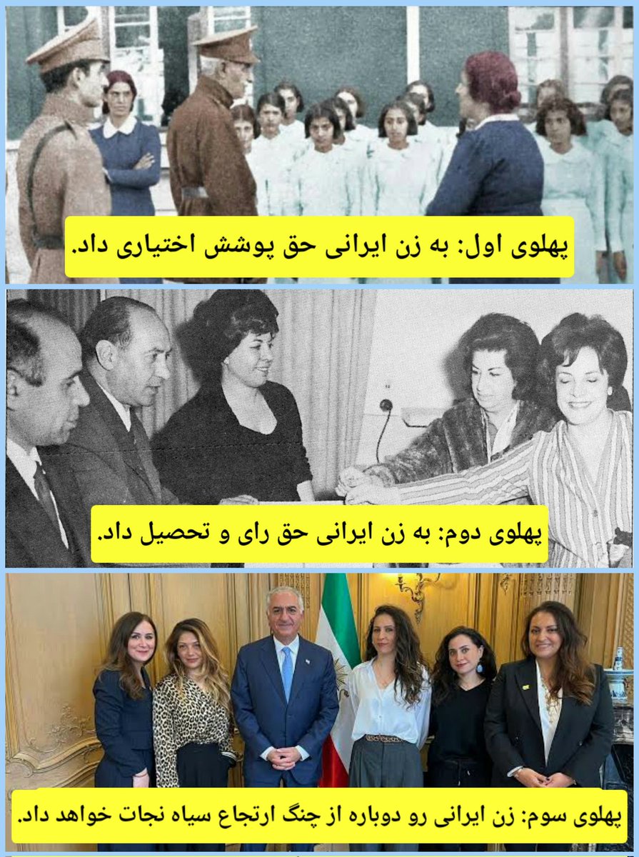 Farshid Babaei tweet media