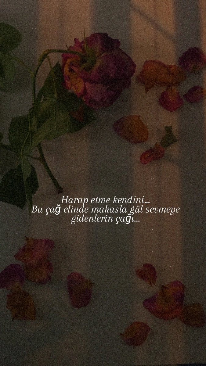 Subat_81🇹🇷 tweet media
