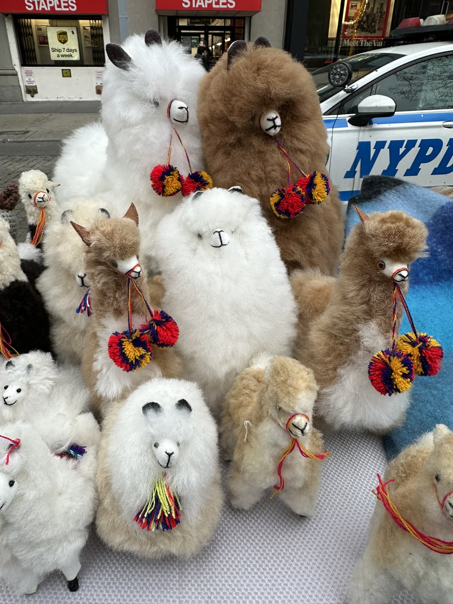 EllieJapan2022's tweet photo. Looks like the family of Alpacas!!
#alpaca #family #cute #NYPD #Manhattan #NY #theUS #Japanesecouple #familywalking https://t.co/lG04nm1fUs