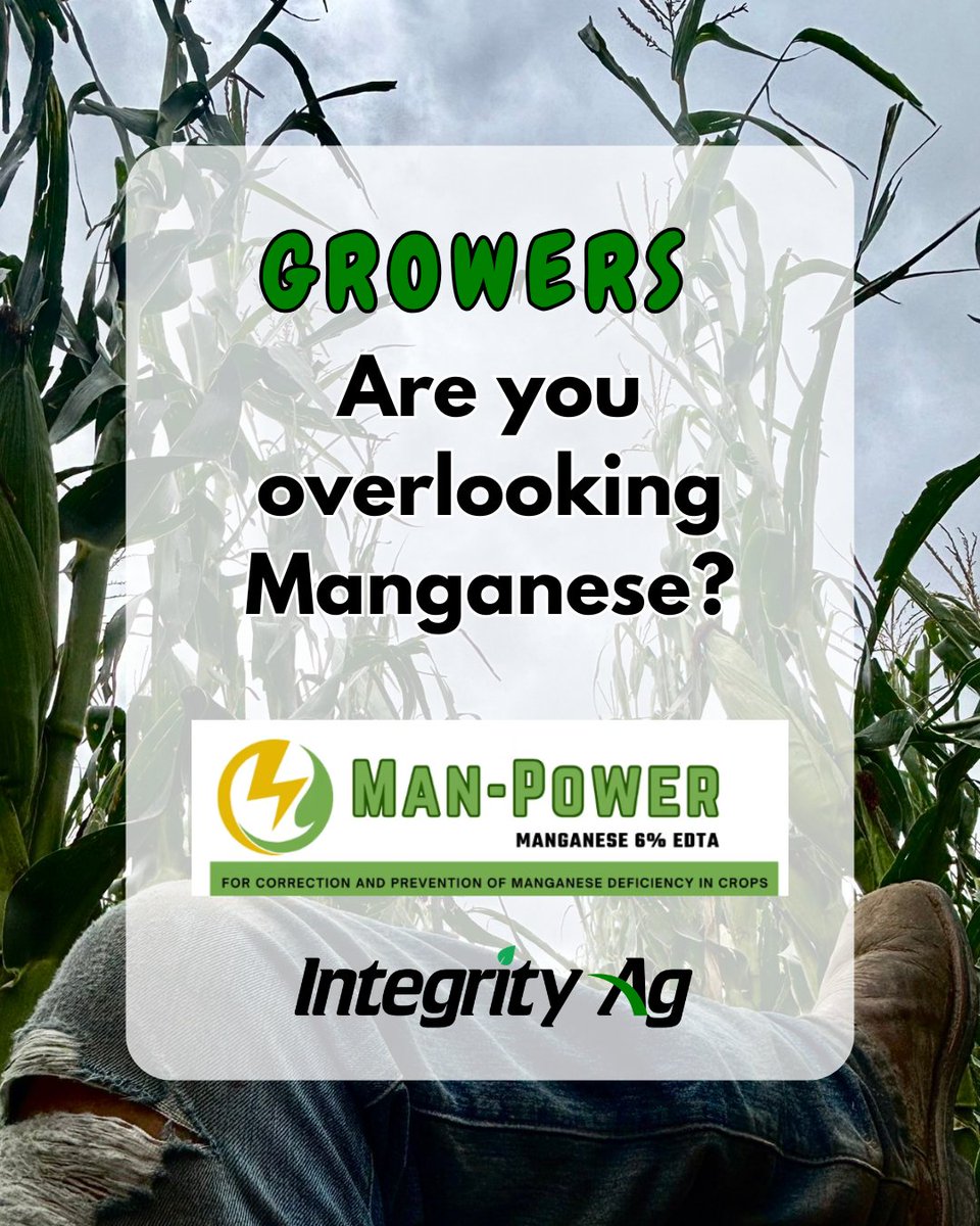 integrityagks's tweet photo. Manganese deficiencies often resemble other stress symptoms and may go unnoticed until yields are affected.

Without adequate manganese, crops may struggle with photosynthesis, nutrient uptake, and stress recovery.

Without adequate manganese, crops may struggle to recover from herbicide stress, leading to slower growth, lower energy production, and decreased yield potential during critical stages.

#manganese #farmer #grower #cropyield #agx