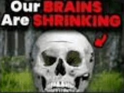 IdiotProfesinal's tweet photo. @Milo_H4 https://t.co/h01GUL2O8b