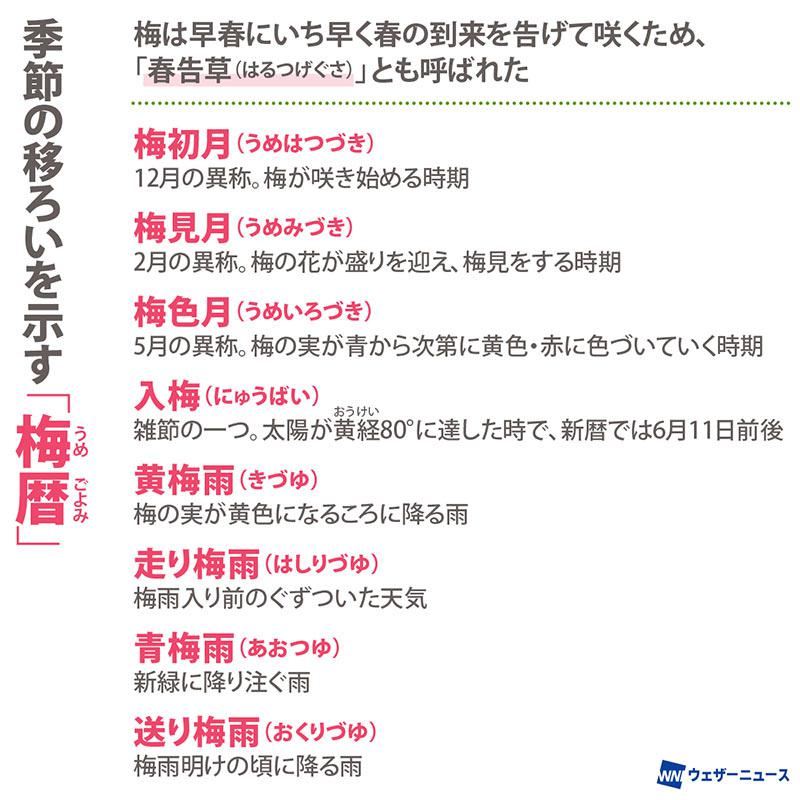 wni_jp's tweet photo. 【季節の案内役 梅】
私たちは何気なく「梅雨（つゆ）」という言葉を使っていますが、実は日本には古くから、梅の花が咲き、実をつけ、熟していく様子とともに季節の変化を表す「梅暦（うめごよみ）」という風雅な考え方がありました。
今回は梅暦についてご紹介します。
https://t.co/ka6nD67qeP https://t.co/CVZITuKmym