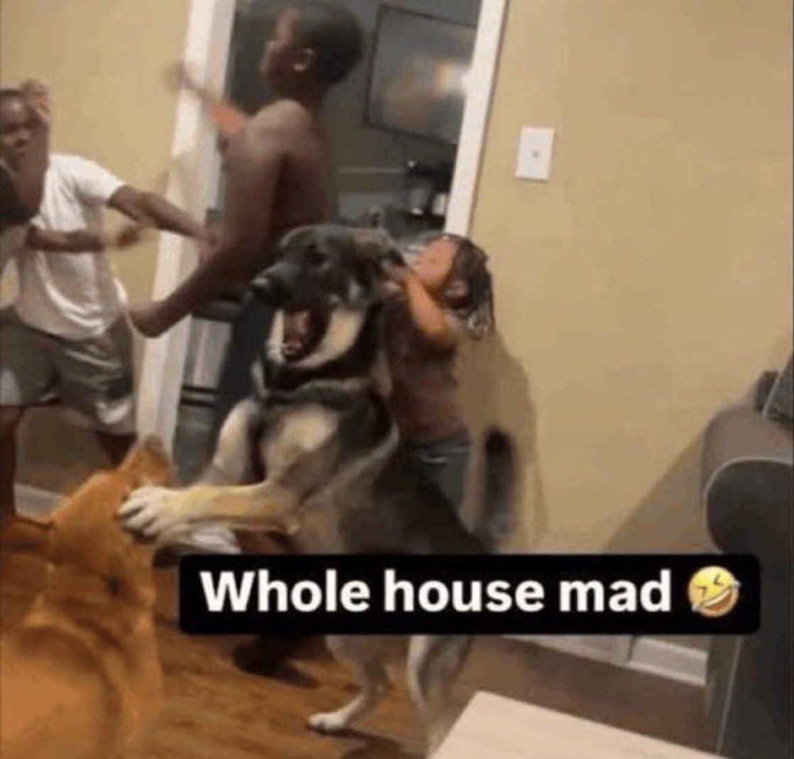 avesvetos's tweet photo. the villa rn #loveislanduk #loveisland https://t.co/2PZE4Ujte3