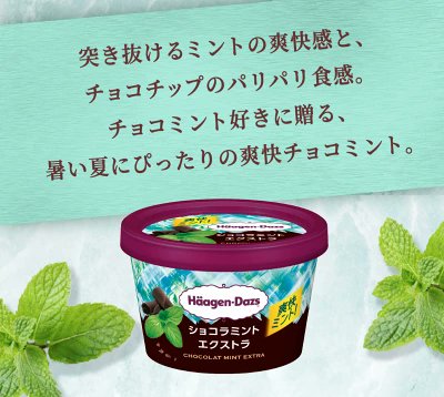 saisinnosweets's tweet photo. チョコミント好きな人。
夏にぴったりな爽快チョコミント✨ https://t.co/dlCBoLFq5J