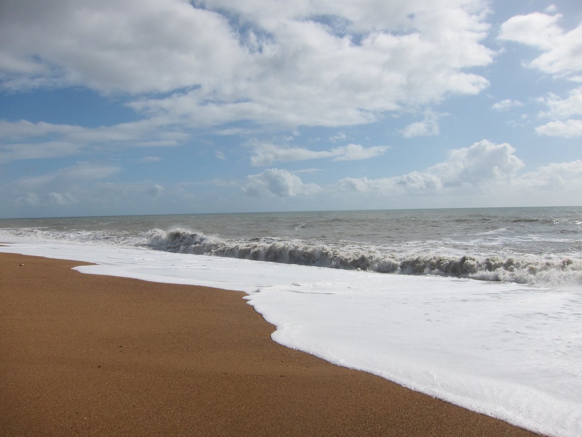 ExtinctionR's tweet photo. The ocean may seem vast, distant, and separate from us; yet it has always flowed through us, in the air we breathe, the food we eat, and the climate that makes our lives possible.
We live on #PlanetOcean
#WorldOceansDay https://t.co/2aa30WjTiS