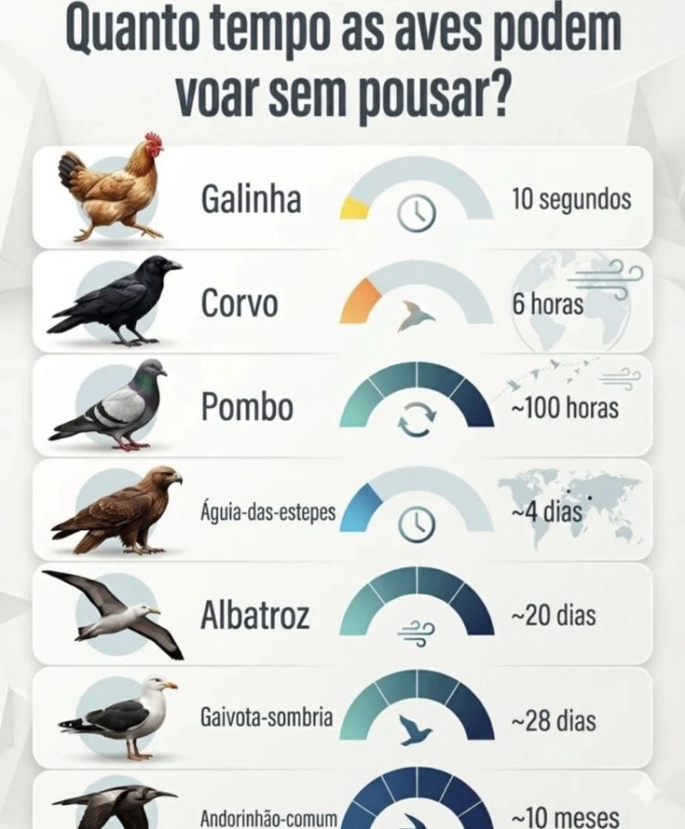 felipefepacivil's tweet photo. Chocado https://t.co/vSnEIH2KGX