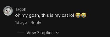 ortegaxdev's tweet photo. kittens name is Tagoh: https://t.co/SUNRlN9k8c

this cat is going insanely viral and can become the next michi
https://t.co/7hm1C04pWf

in the depths of the bear, a cute kitten appears to save us.

these videos are getting millions of views https://t.co/wKO7aAbtyJ