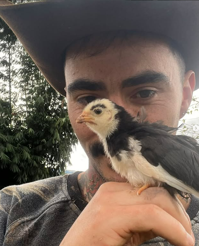 mizaelizidoro's tweet photo. Deve ter começado a mentir aqui, quando provavelmente desenhou uma sobrancelha com uma canetinha no coitado do bichinho. https://t.co/hjPc18tRWk