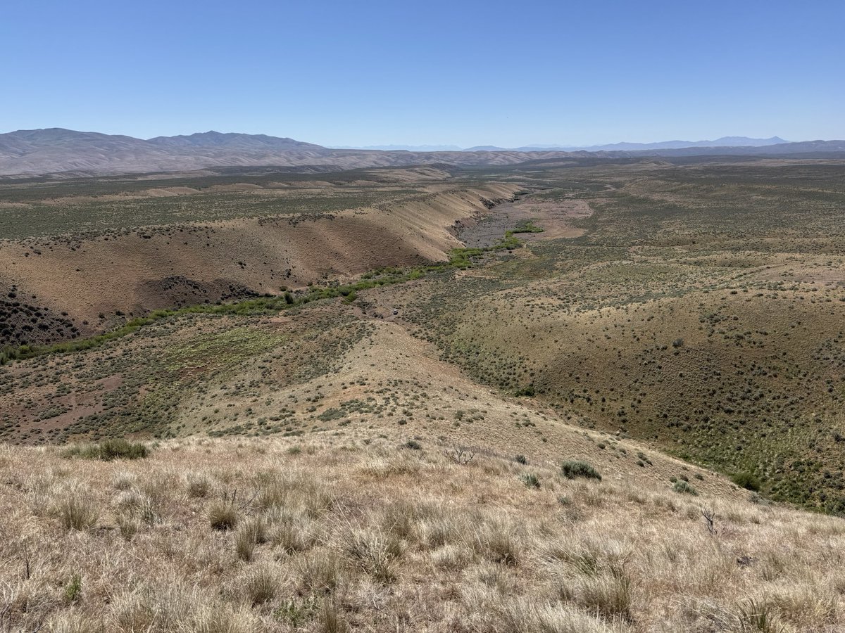 Operator_Easy's tweet photo. Mapping some rangeland and lost the drone. Hiked up about 400 ft and turned around to this. The NV desert is stunning if you know what you’re looking at. https://t.co/cwRe0T9sWO
