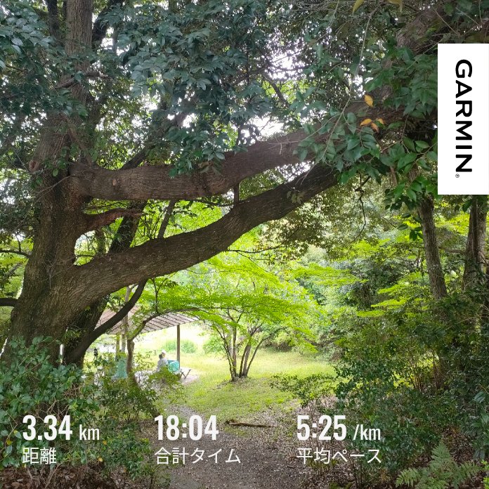 Yoshi5711's tweet photo. おはようございます！朝ラン3km #garmin #beatyesterday #runhappy #ランニング #朝ラン https://t.co/wCAmoeeluw