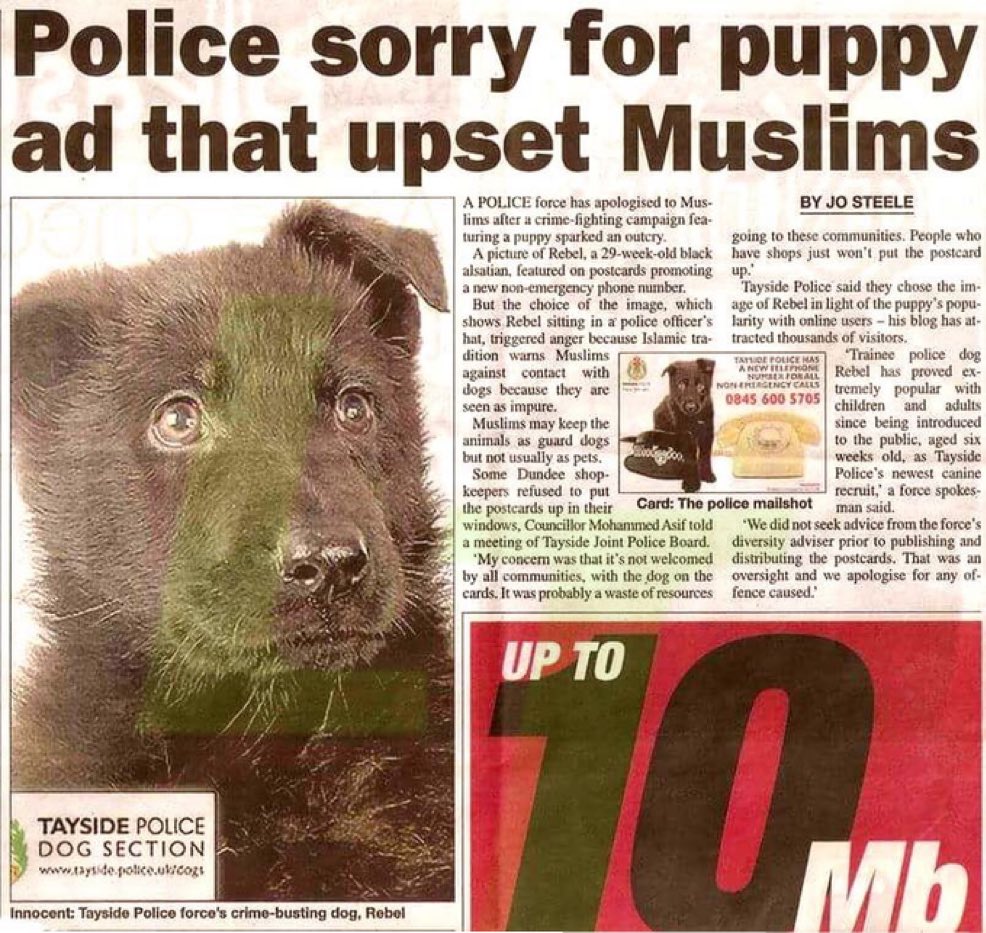 HazelAppleyard's tweet photo. Don’t like dogs?

Go home. https://t.co/YP1xaJl73x
