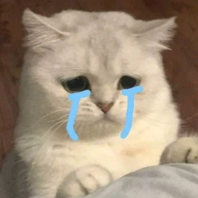 TSthemanBL's tweet photo. @Lellonsz97 So SADDD https://t.co/q5FONiweWd