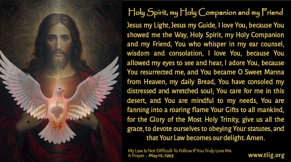 TrueLifeinGod's tweet photo. Jesus IS our Delight and our Consolation in this desert of evil that exists in the world today. Turn to His Holy Spirit, asking for His 7 gifts. Run to Him, worship Him, Love Him. He is all you ever need. https://t.co/KS41DmoWSI
#HolySpirit #WorshipHim #JesusIsLord https://t.co/rZsHE78bfA