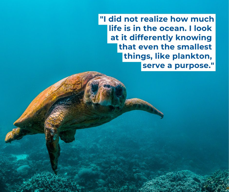 mesacc's tweet photo. Happy World Oceans Day! 🌊  Have you ever wondered what lies beneath the ocean's surface? MCC's Marine Biology class (BIO145) explores the diversity of marine life, ocean habitats and the challenges facing our oceans today.

Ready to dive in? Register: https://t.co/KNn2aT6YDb. https://t.co/qQdcfW85FX