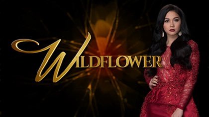SpikeyRed01's tweet photo. @KAIAmananSTAN Revenge - wildflower https://t.co/teEFu01Rpx