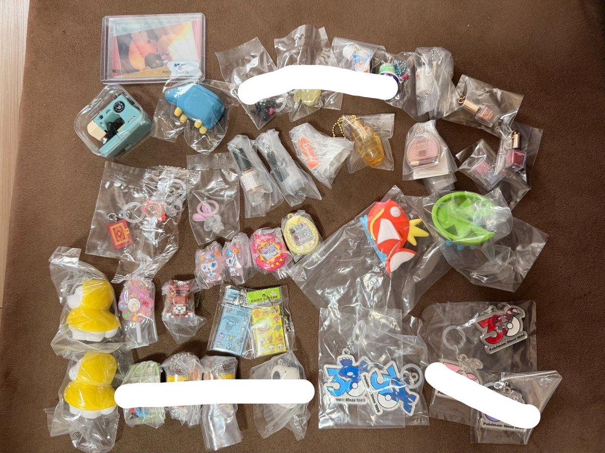 inu286's tweet photo. ポケモン　メタルチャームマスコット　交換
求：1枚目　
譲：2枚目

よろしくお願いします。 https://t.co/GYLr1bauUj