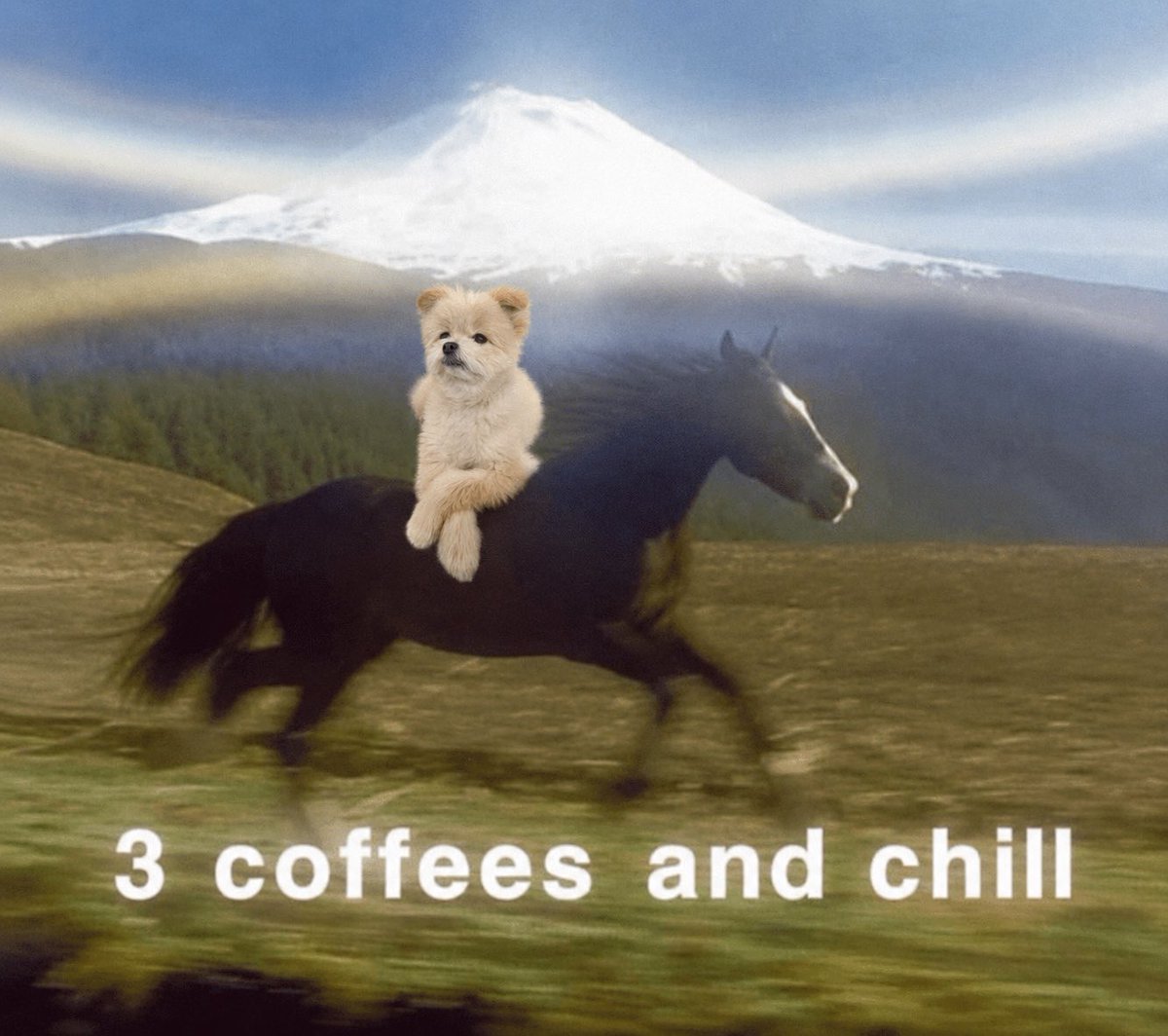 deepsydoin's tweet photo. @Chairman_DN @BrokeBoyObie Chilldog will flip chillhouse btw https://t.co/OQX4BwatRX