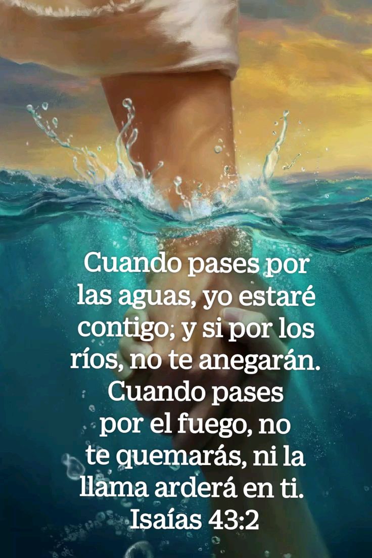 Fernada2597's tweet photo. @michaelflorees
#LaCasaDeAlofoke2 https://t.co/u1QPWmXNPw