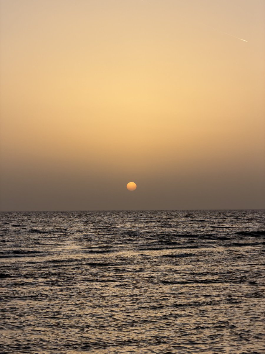 earthwhisperss's tweet photo. Sunset <3 https://t.co/JsVxYeWVOp
