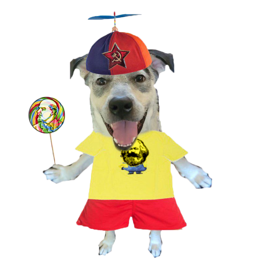 lobotomila_'s tweet photo. eh isso ai cara a revoluçao vai começar do sofa da minha casa enquanto eu vejo video do ian, do jones, do humberto e do joao carvalho!!

eu? ah to sem saude mental pra militar presencialmente sabe.. prefiro consumir video q me ensina q o capitalismo eh ruim!!

mas uma hora eu me organizo, quando eu ganhar 80k limpo por mês, quando eu tiver 3 filhos adultos, quando eu tiver uma casa propria e um carro zero, quando minha depressao tiver magicamente sumido, quando eu tiver o soro da imortalidade..

ai sim vai ta perfeitamente alinhado pra eu militar, mas ate la eu ajudo como posso daqui de casa!! ajudo consumindo mais midia webcomunista, claro!! posso ate postar um meme no meu status do whatsapp!