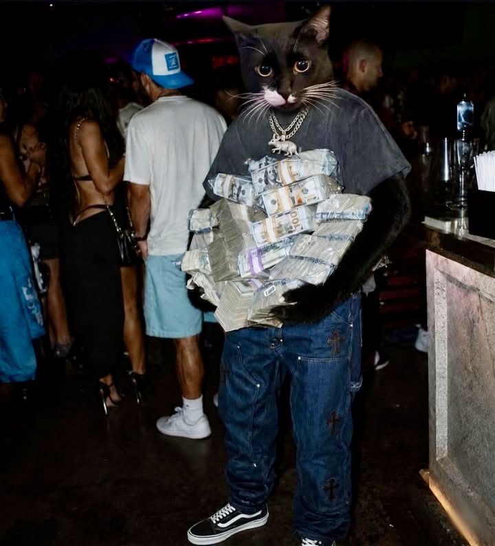 SkitSkit229892's tweet photo. Welcome to Paw-dice🐾🎲 City, They call this community Kalico Tokens Earn your tokens, feline, or get scratched out." The Bears 🐻 Are playing with their Lives Right now & they have 1 shot vs our 9🔫😼Time For Some Paw-Ful Crimes against the Bears🐻📈🚀 #SolanaMemecoins #CatMemes #1000x #Summer2026
