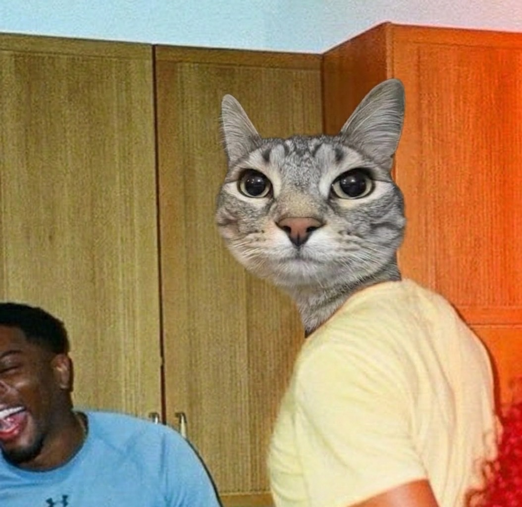 ZazuCTO's tweet photo. him after just one interaction with $zazu 🐱 https://t.co/RmzIEf4GHe