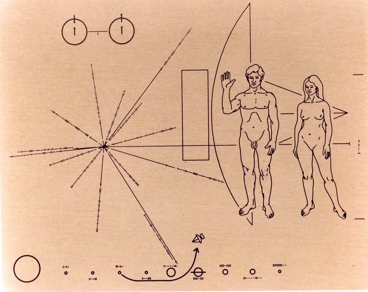 AlecCoates1's tweet photo. @leap_dog The children must be prevented from seeing the Pioneer Plaques, which were sent into deep space on a journey of scientific discovery. https://t.co/ms4oSqrShj