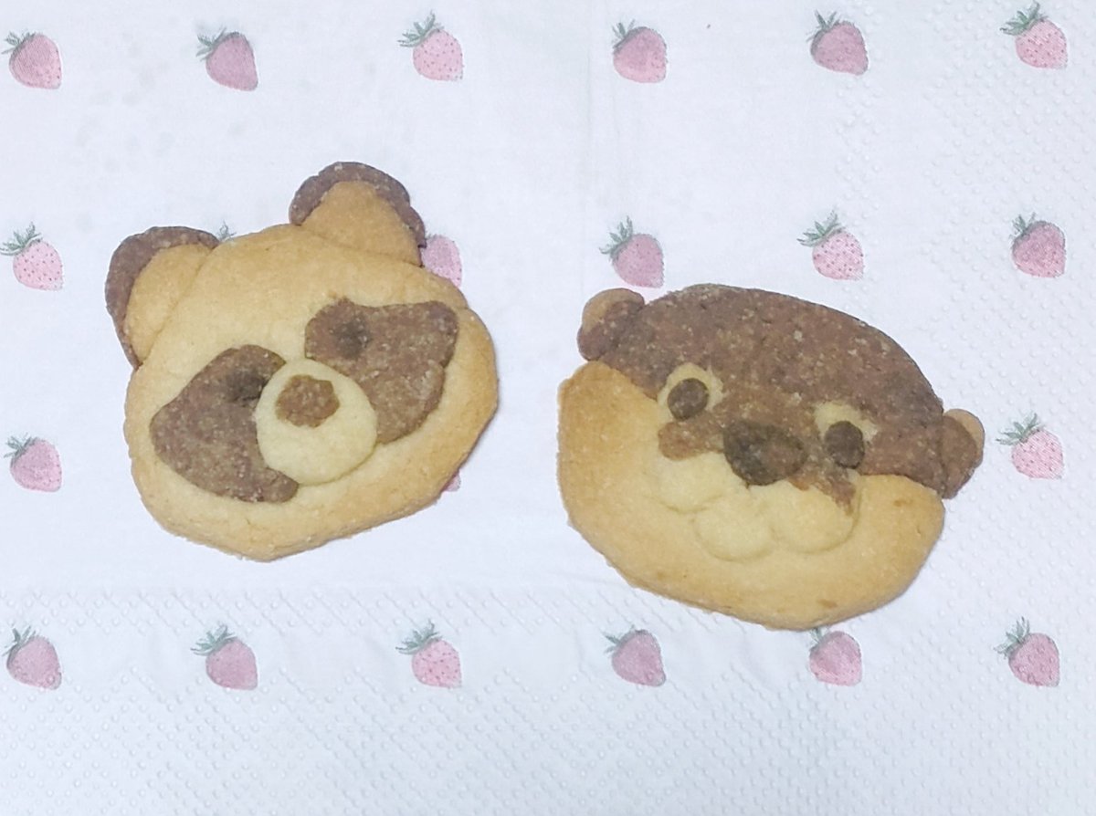 U2ZUzlnzTDBOKbW's tweet photo. たぬきとカワウソのクッキー🍪作った https://t.co/fwvOnRy3dW