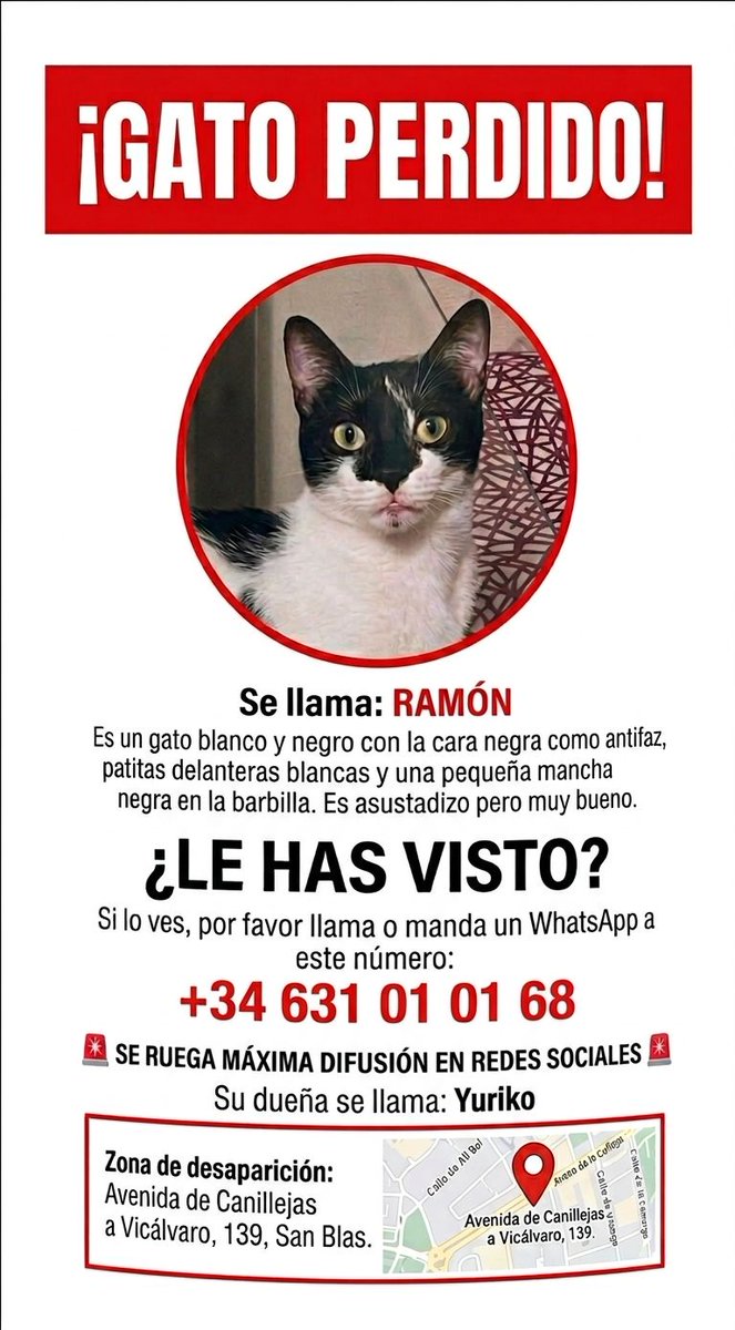 NuevaVidaAdop's tweet photo. 📌DIFUSION EXTERNA
#MADRID
RAMON #perdido en #canillejas https://t.co/PnXpPGNw9o