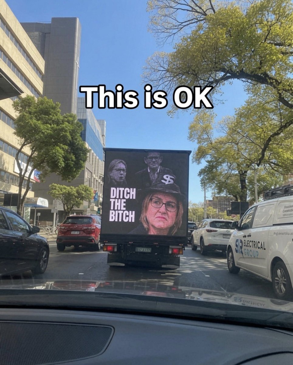 TechBlokeAussie's tweet photo. Imagine being a corrupt politician and calling any criticism of you sexist. You really are a bitch Jacinta Allen. https://t.co/Djd4EzzglR