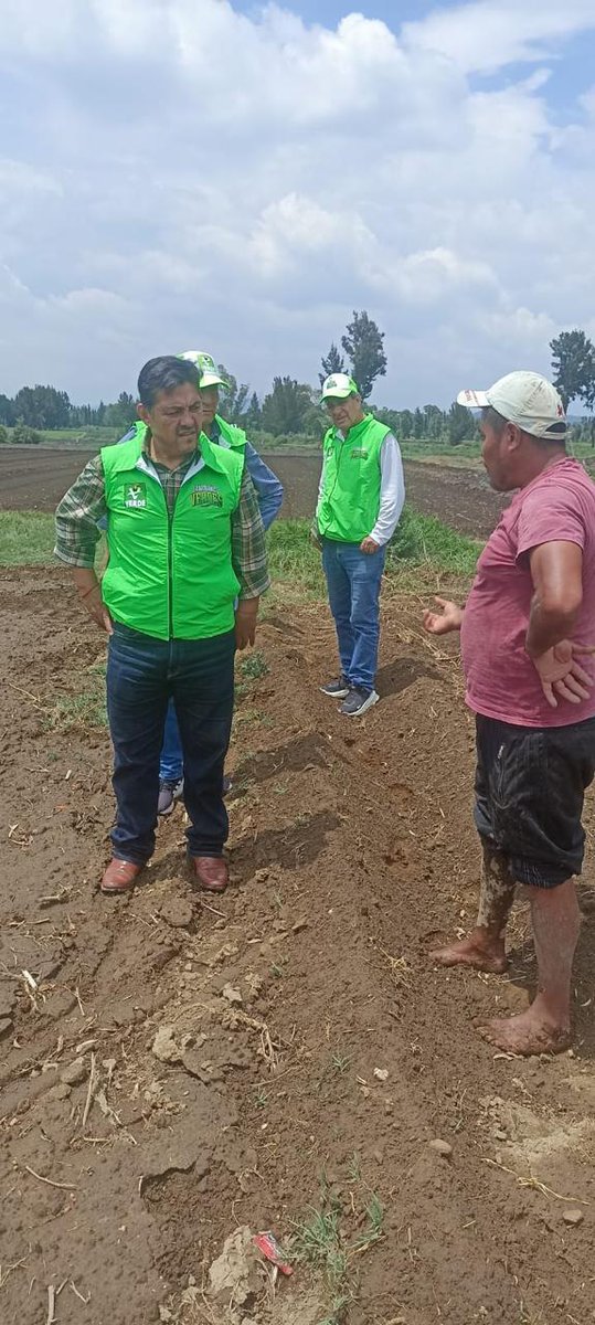 hectorjimenezgs's tweet photo. Hoy pudimos saludar y escuchar al Sr. David Galicia y a su hijo Pedro Galicia; platicamos sobre las diferentes necesidades y carencias que hoy en día tiene el campo. Durante generaciones se han dedicado ha sembrar diferentes tipos de hortalizas. 
@verdecdmx @chusesma https://t.co/xZyojSnkVi