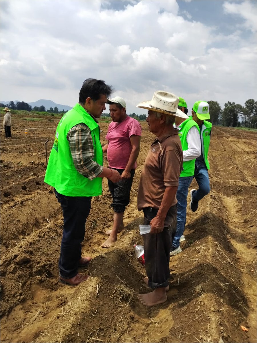 hectorjimenezgs's tweet photo. Hoy pudimos saludar y escuchar al Sr. David Galicia y a su hijo Pedro Galicia; platicamos sobre las diferentes necesidades y carencias que hoy en día tiene el campo. Durante generaciones se han dedicado ha sembrar diferentes tipos de hortalizas. 
@verdecdmx @chusesma https://t.co/xZyojSnkVi