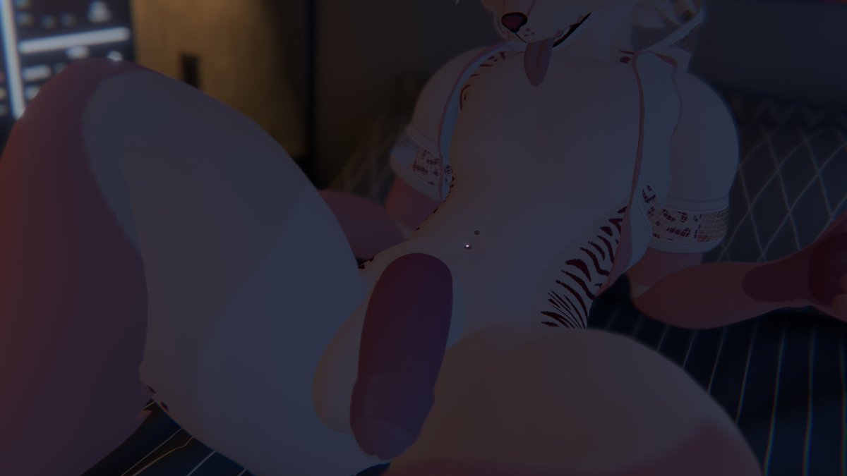 KittyBusiness tweet media