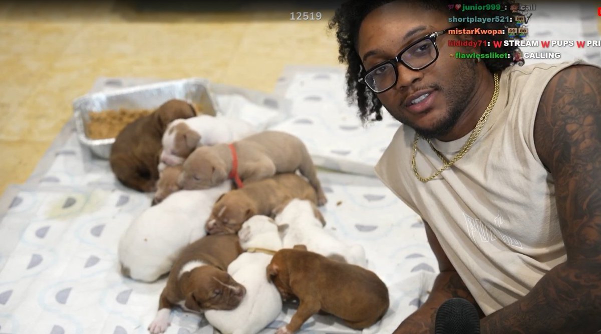 _xdreamscape's tweet photo. all this dog talk makes me miss when they were babies 🥲 https://t.co/KtquaxW0tF