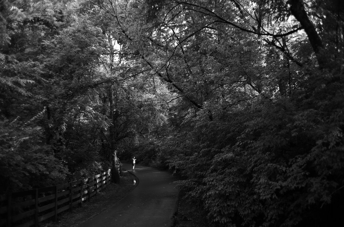 whmcclary's tweet photo. A walk after a day of rains. Leica M10R 35 Summicron VIII
#rain #walk #BW #blackandwhite #LeicaM10R #35Summicron https://t.co/0IEd2UN0jT