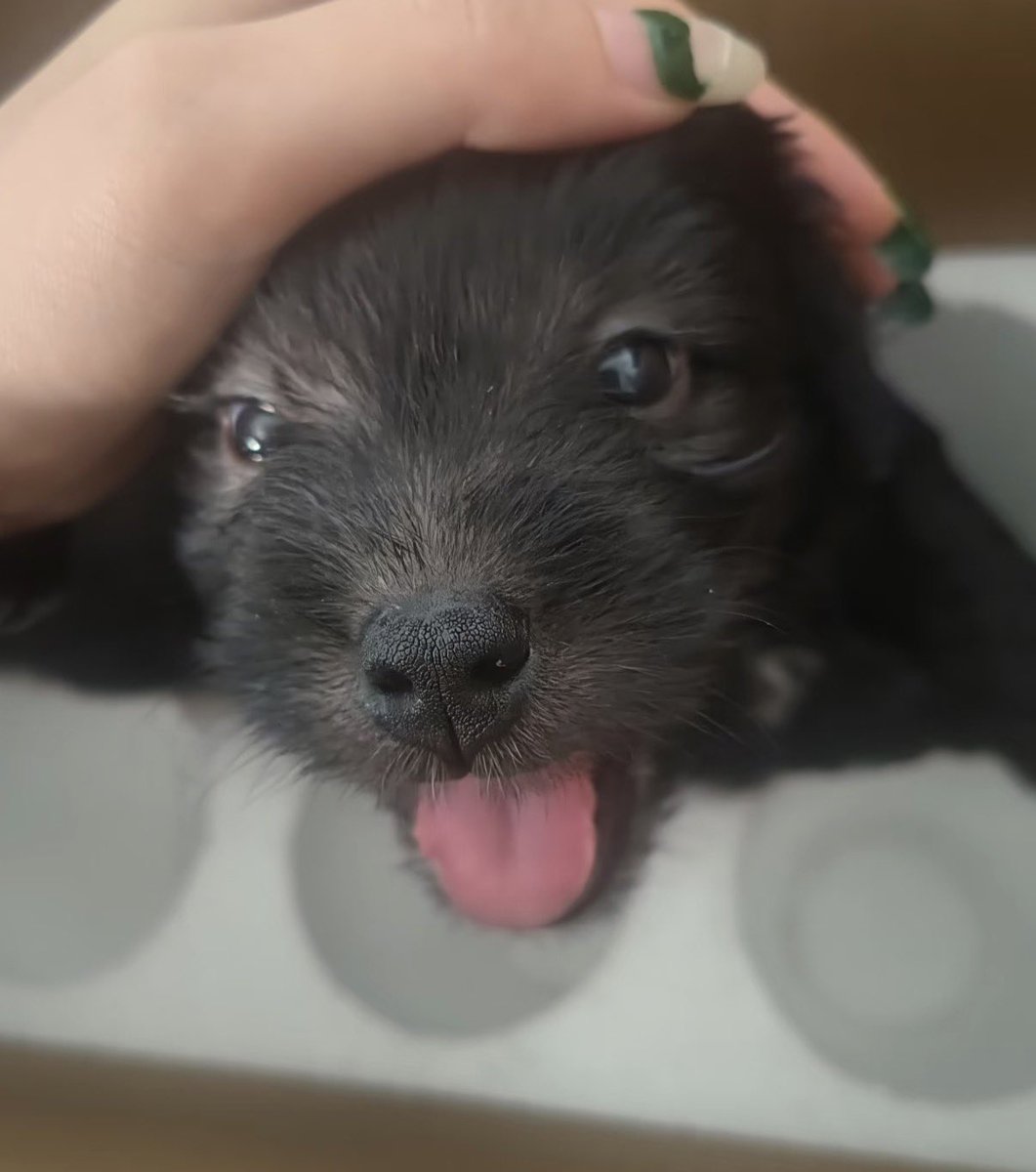 twaniimals's tweet photo. https://t.co/yUZb5NWApu