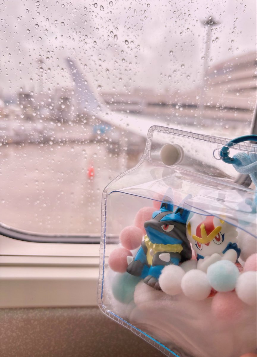 mano040232's tweet photo. 行くぜ！新婚旅行✈️ https://t.co/6U0KpRmaRy