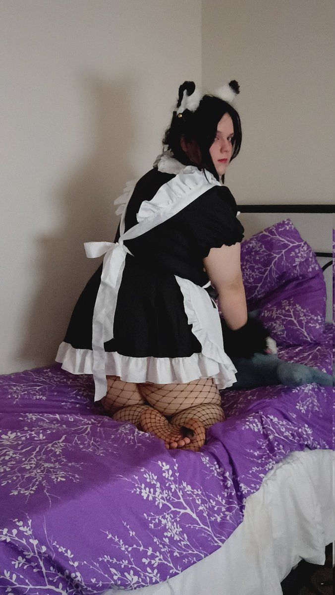 wolftamer591's tweet photo. This kitty needs to be bred ;3 https://t.co/EdvQDegflz