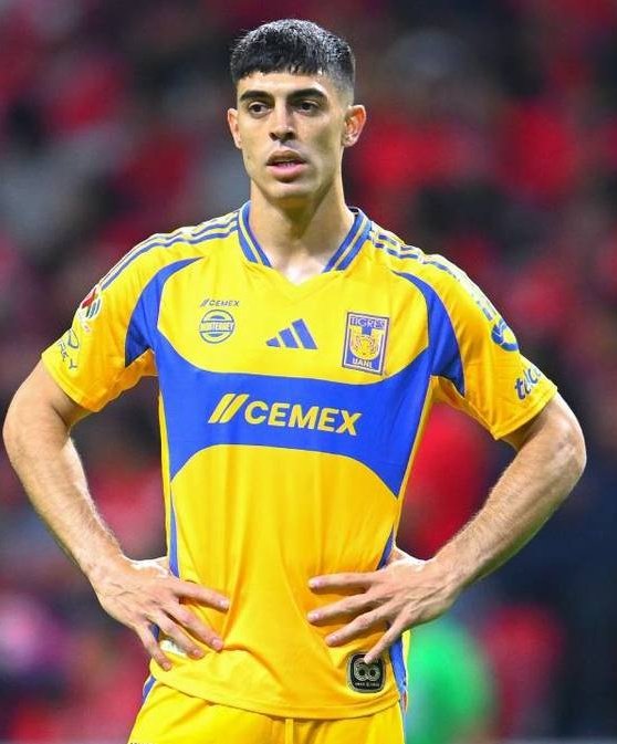NetoFutbolero's tweet photo. Noticias Tigres.
Tigres ha puesto como transferible a Brunetta (29🇦🇷), escucharan ofertas.
Medios en Argentina aseguran el acuerdo contractual de River Plate con Angel Correa (31🇦🇷).
La postura de Tigres no ha cambiado, 14mdd y empiezan platicas. https://t.co/NEoot5o3v8