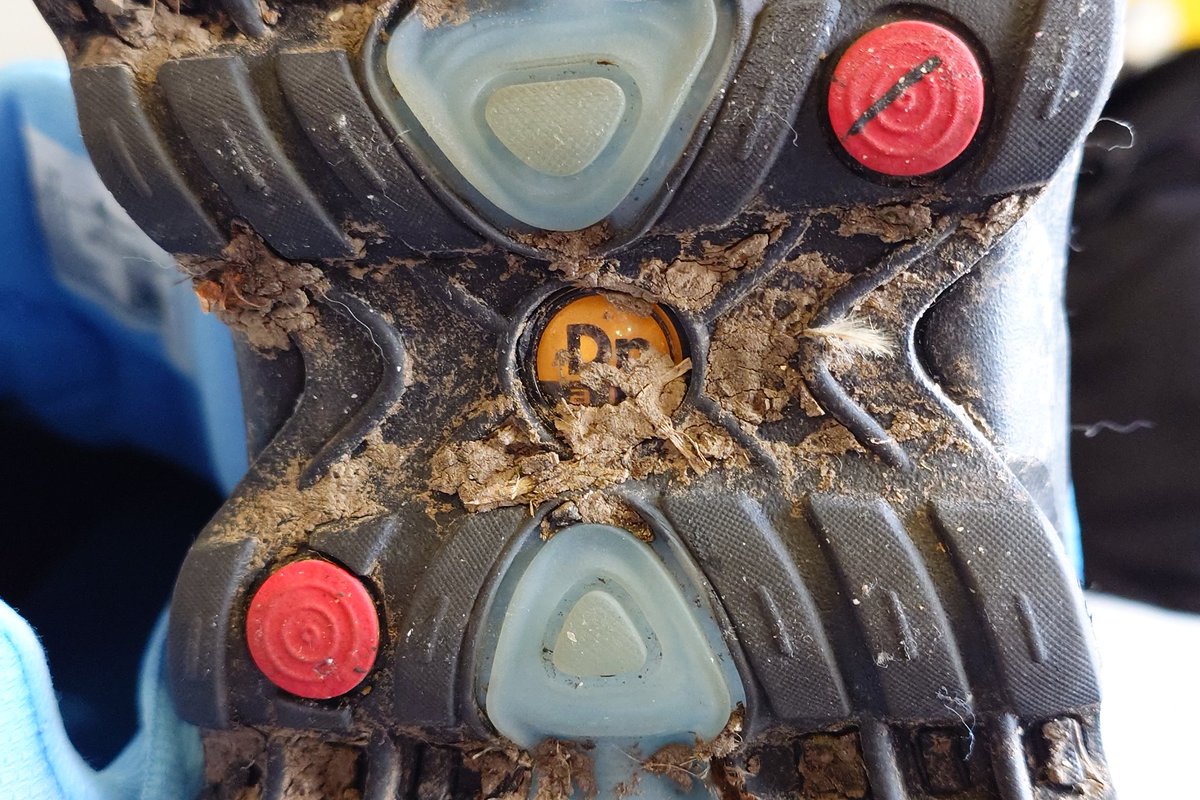 CurwenSimon's tweet photo. #kotd up close and personal with my #nike #airmax #DN8 https://t.co/tHoZ5mDRUp