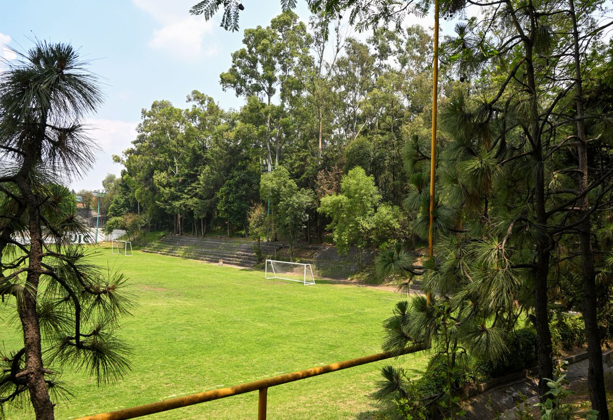 uicmx's tweet photo. Un respiro entre clases, una charla con amigos o el lugar perfecto para seguir construyendo tus metas. 🌞🌲💚

Así se vive nuestro campus: un espacio donde el aprendizaje va más allá del aula y cada día trae nuevas experiencias. 🎓✨

Tu próxima historia universitaria podría comenzar aquí. 🪽  
🔗 Link de inscripción o página: https://t.co/vW7QvDENwW

#Campus #UIC #ComunidadUIC
