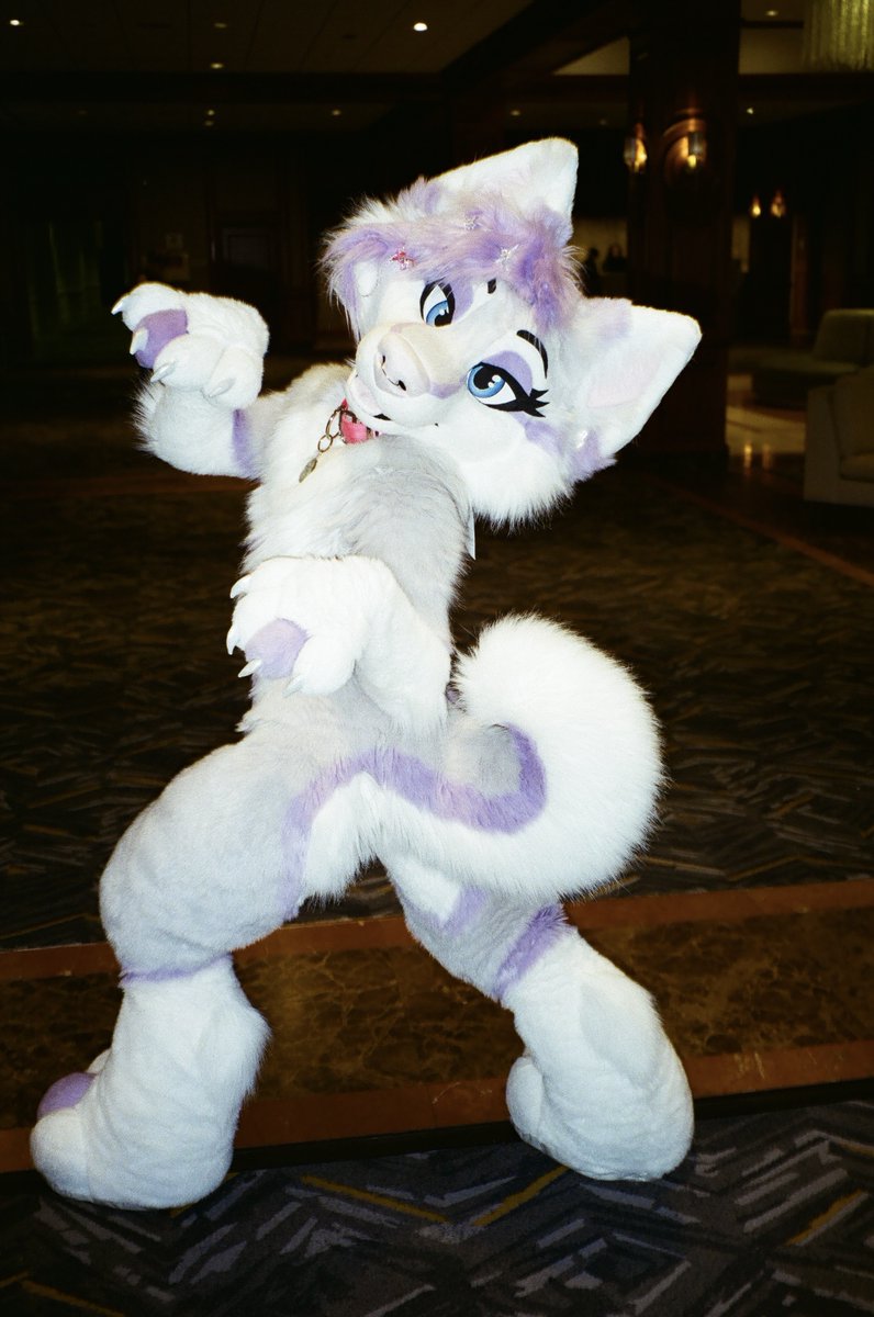 PossumPaisley's tweet photo. Some film photos from #Nashumfurcon A very fun con! 
1989 Canon Sure Shot XL Zoom with Fuji Color 400 film https://t.co/IKWlJKHnkK