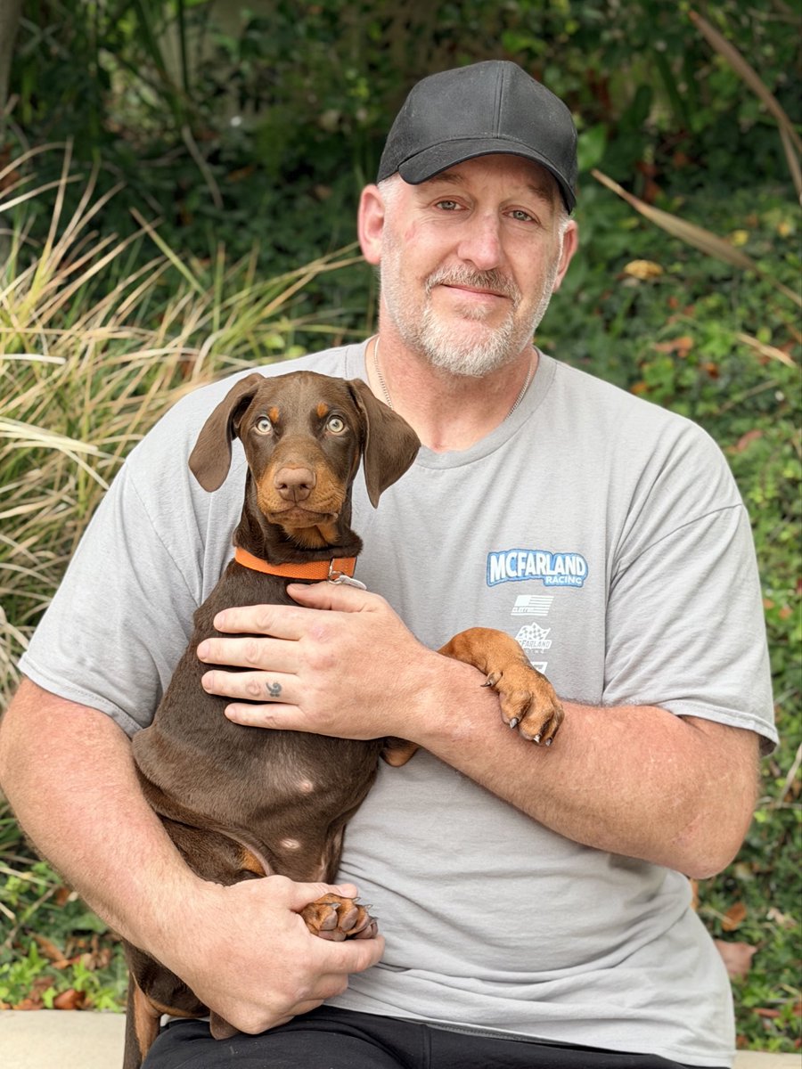 LovebugsRescue's tweet photo. #happytails Vinny is living in Arizona with a Dobie loving (and experienced) family. We are so excited for his next adventure! 🏜️🐾 https://t.co/nA2tuCAjT2